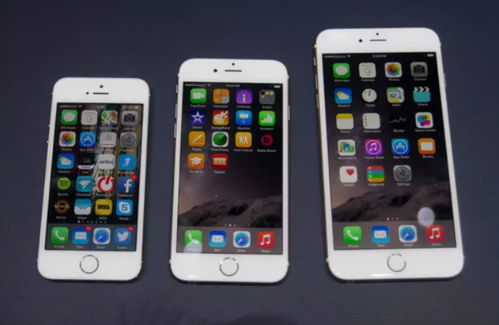 苹果6plus官网报价表（iPhone 6Plus价格）